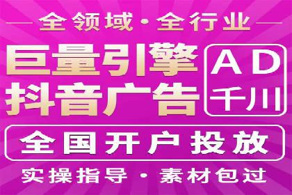 行业领先的SEM投放效果案例解析